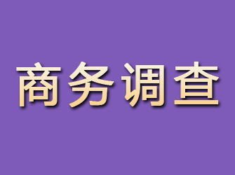 颍泉商务调查